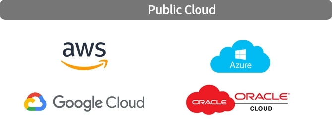 Public Cloud